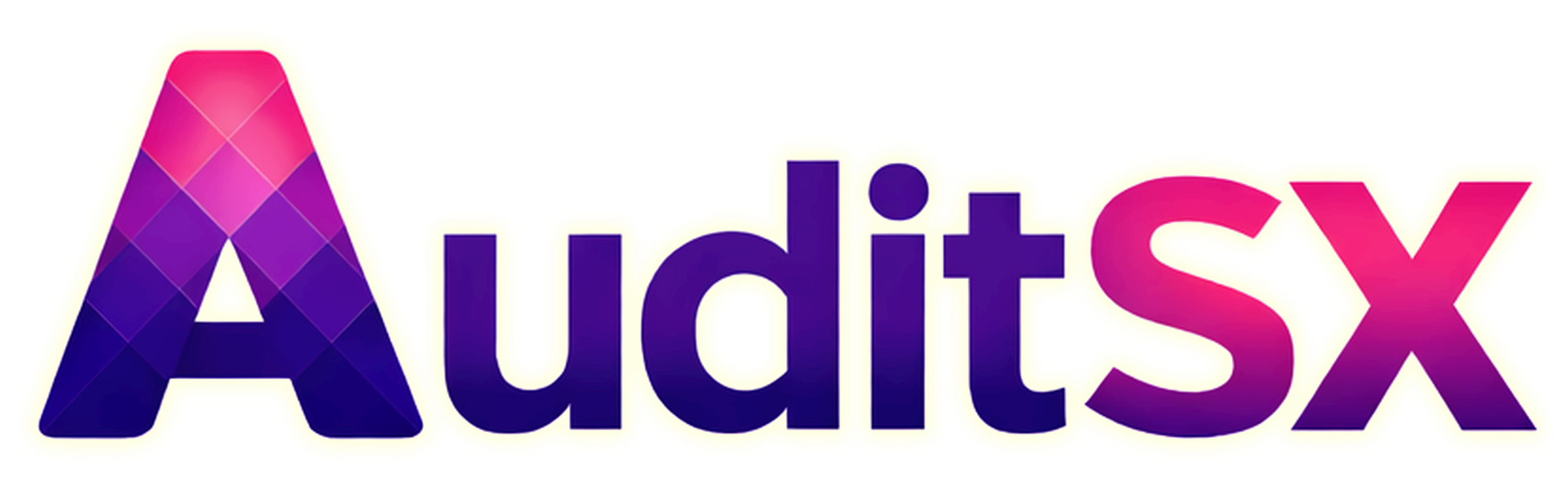 AuditSX logo